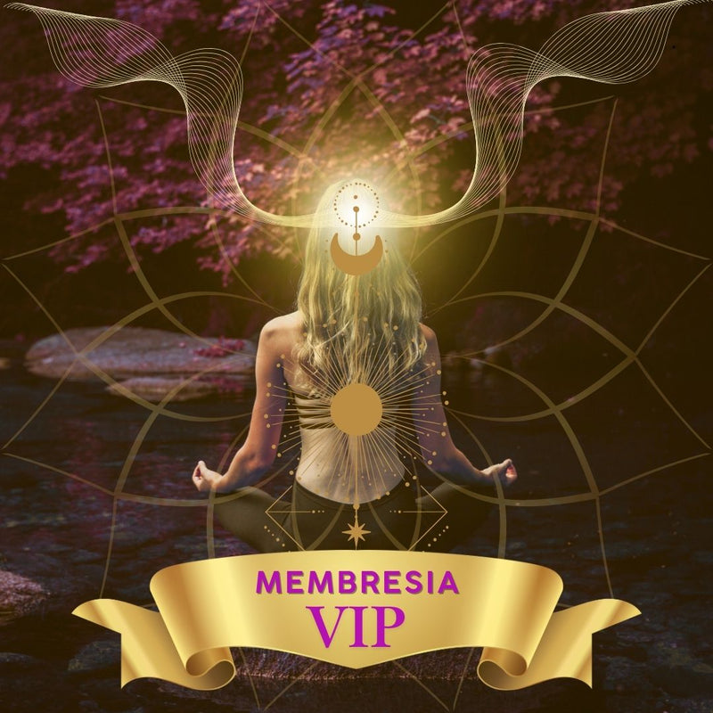 Membresia VIP - ITAE - Zayra Mo